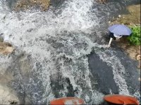 氨氮濃度超地表水Ⅲ類標準15.3倍，廣東茂名被公開通報！